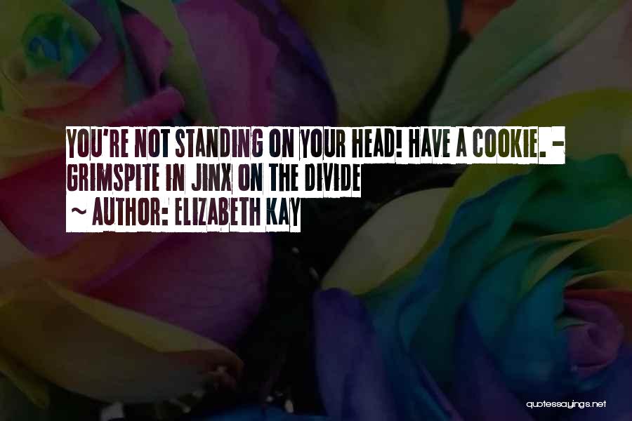 Jinx Quotes By Elizabeth Kay