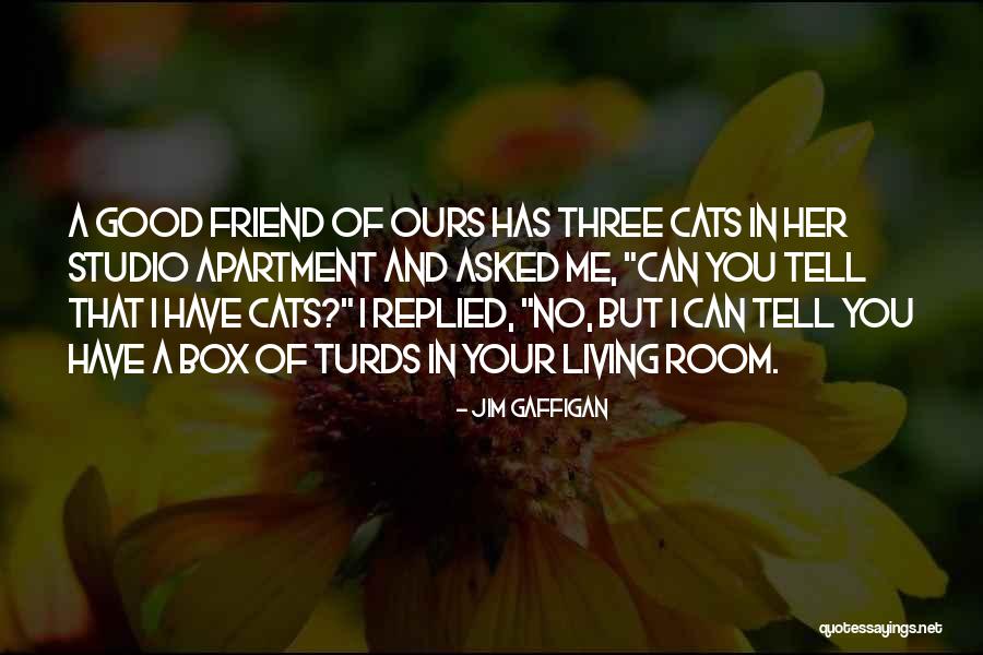 Jirapa Pongsiripat Quotes By Jim Gaffigan Jirapa Pongsiripat Quotes By Jim Gaffigan