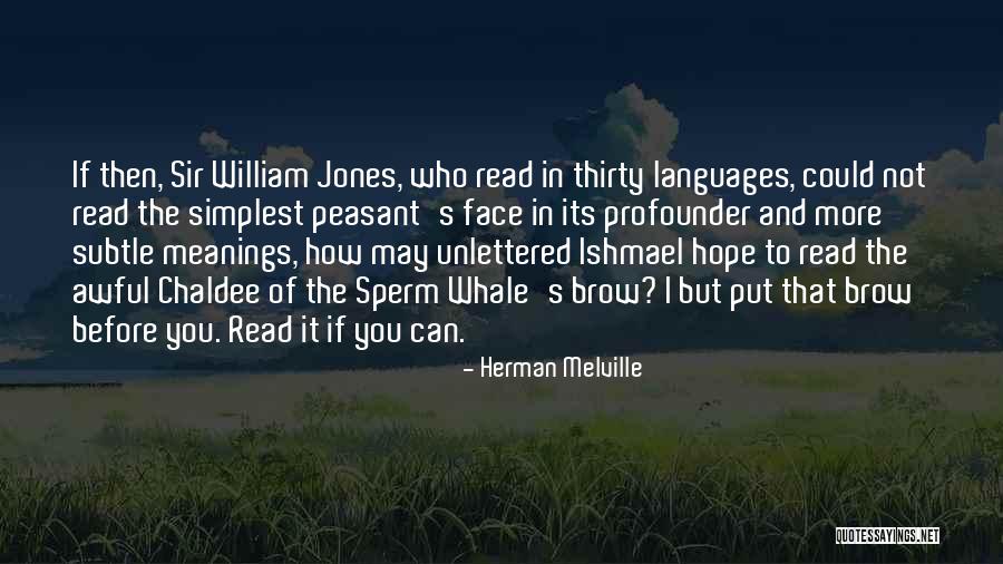 Jitu Brown Quotes By Herman Melville Jitu Brown Quotes By Herman Melville