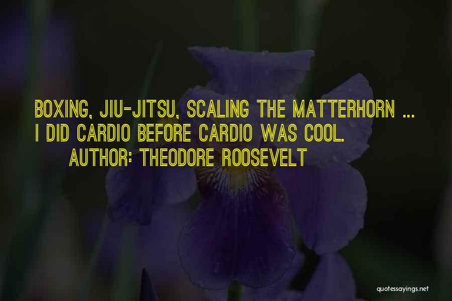 Jiu Jitsu Quotes By Theodore Roosevelt