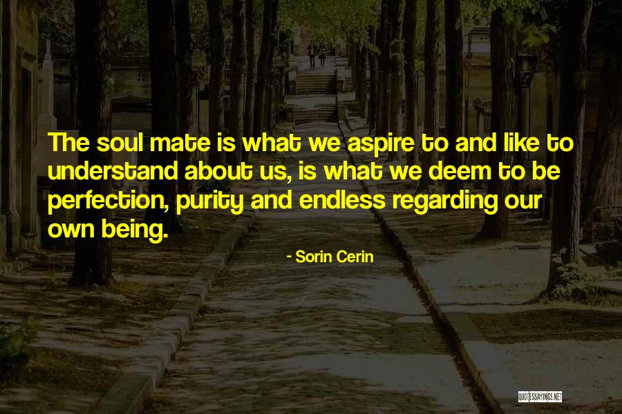 Jiyuan Quotes By Sorin Cerin Jiyuan Quotes By Sorin Cerin