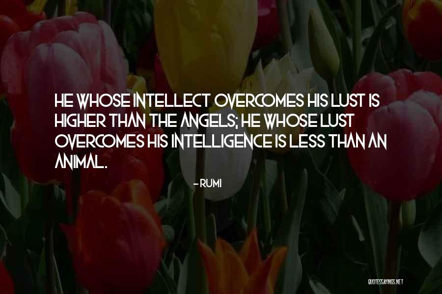Jnug Quotes By Rumi Jnug Quotes By Rumi