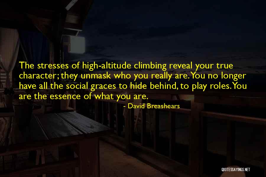 Jnumh Quotes By David Breashears