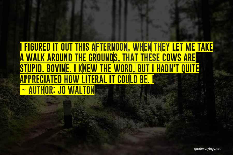 Jo Walton Quotes 93807