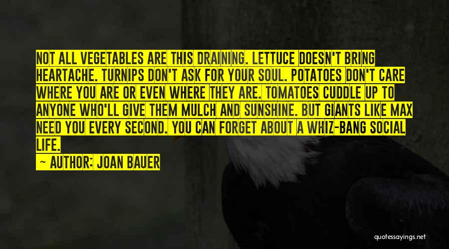 Joan Bauer Quotes 1060308