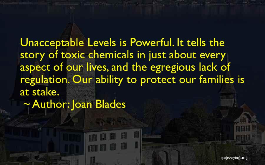 Joan Blades Quotes 1270289