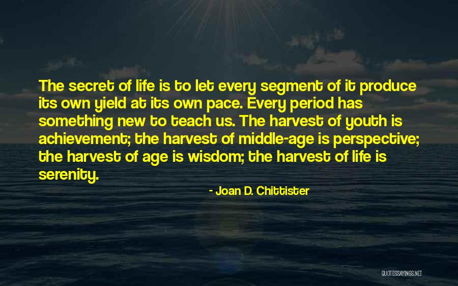 Joan D. Chittister Quotes 1553978