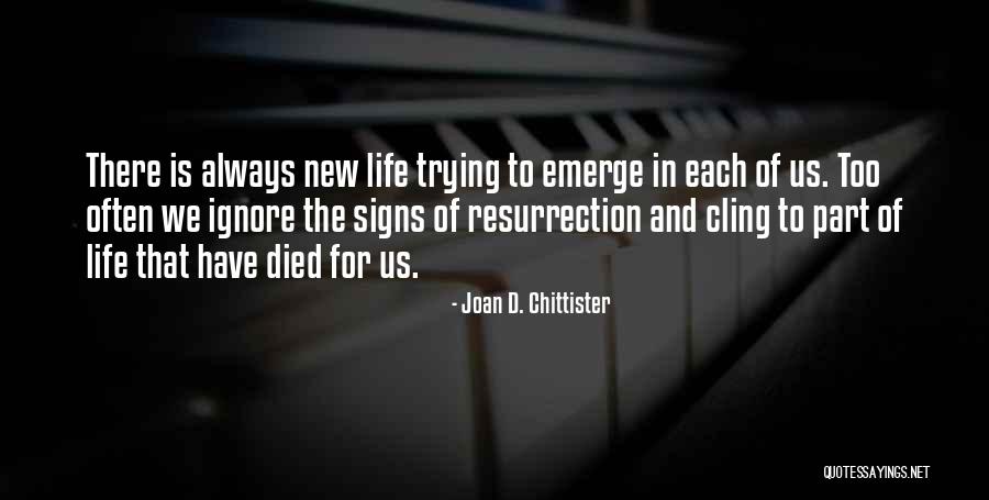 Joan D. Chittister Quotes 1748179 Joan D. Chittister Quotes 1748179