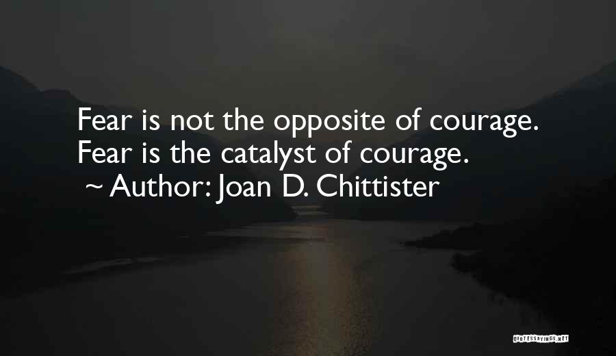 Joan D. Chittister Quotes 1845081