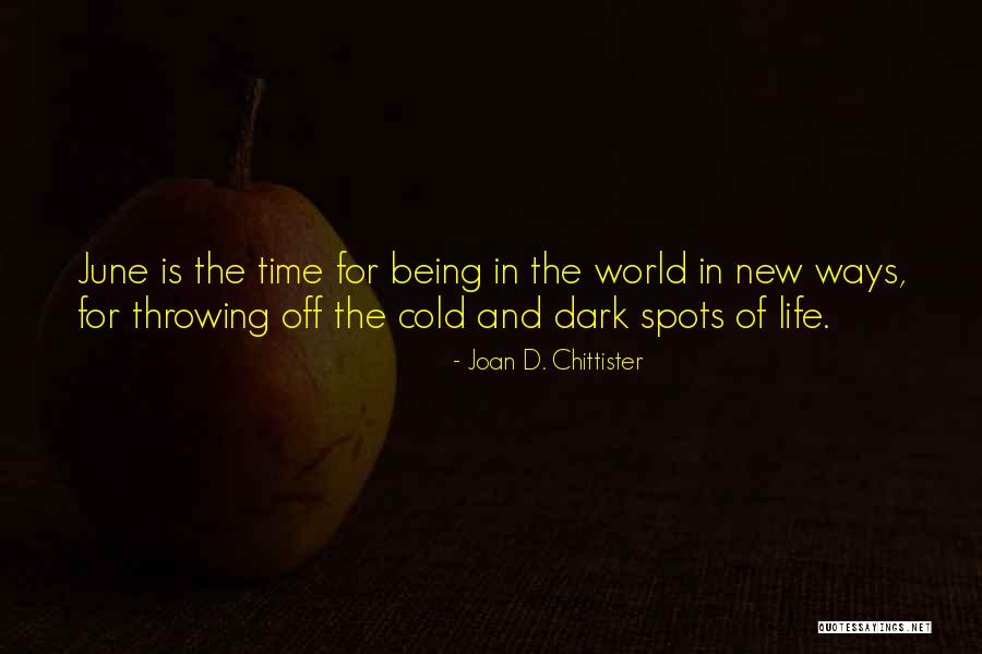Joan D. Chittister Quotes 885286 Joan D. Chittister Quotes 885286