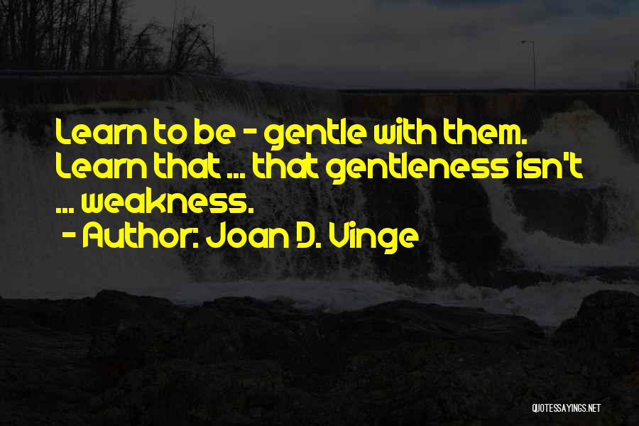 Joan D. Vinge Quotes 1090598