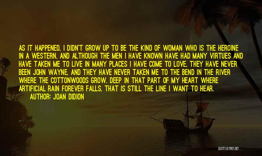 Joan Didion Quotes 616159