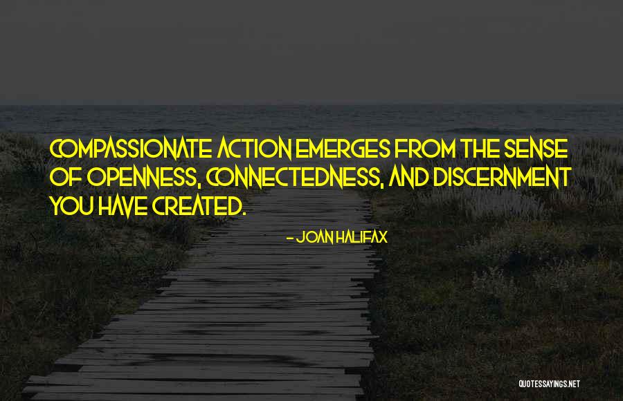 Joan Halifax Quotes 1213868 Joan Halifax Quotes 1213868