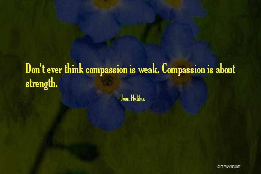 Joan Halifax Quotes 1518766 Joan Halifax Quotes 1518766