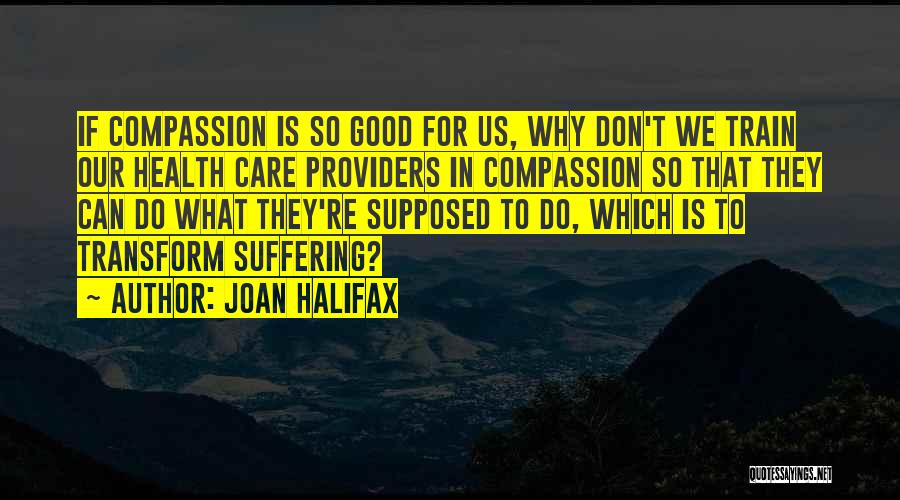 Joan Halifax Quotes 1901466