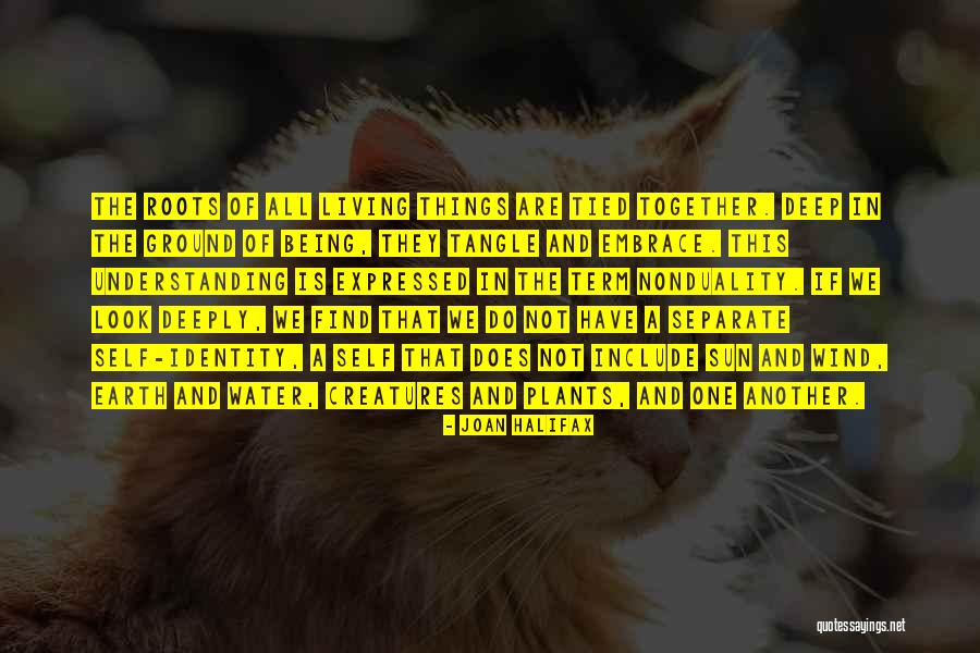 Joan Halifax Quotes 1902176 Joan Halifax Quotes 1902176