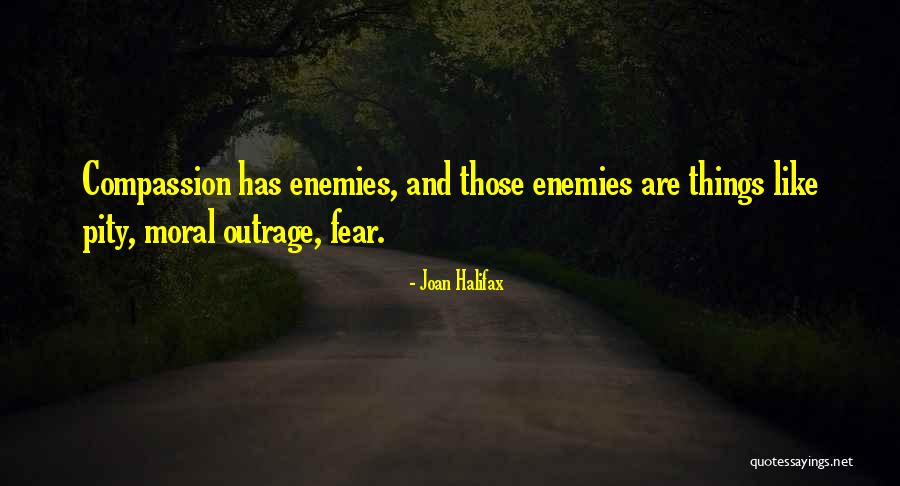 Joan Halifax Quotes 1969828 Joan Halifax Quotes 1969828