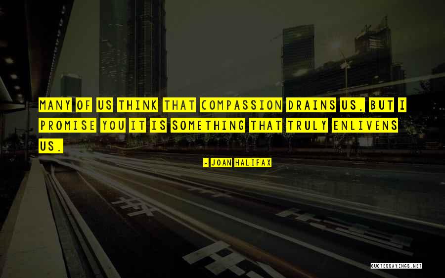 Joan Halifax Quotes 2161204 Joan Halifax Quotes 2161204