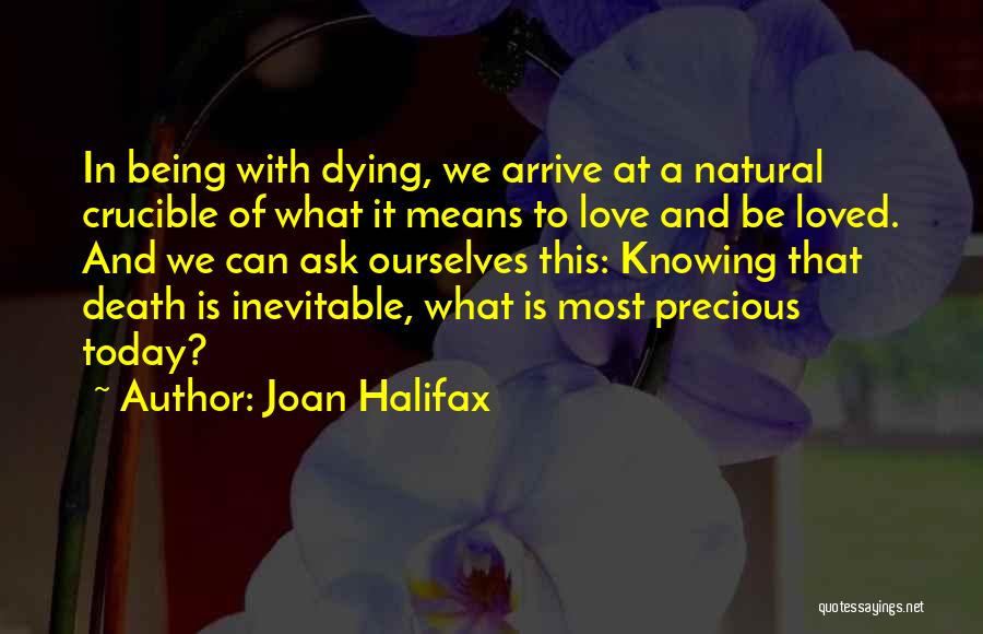 Joan Halifax Quotes 223254