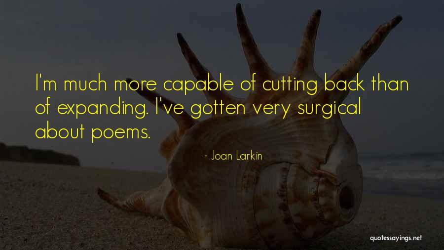 Joan Larkin Quotes 1587222