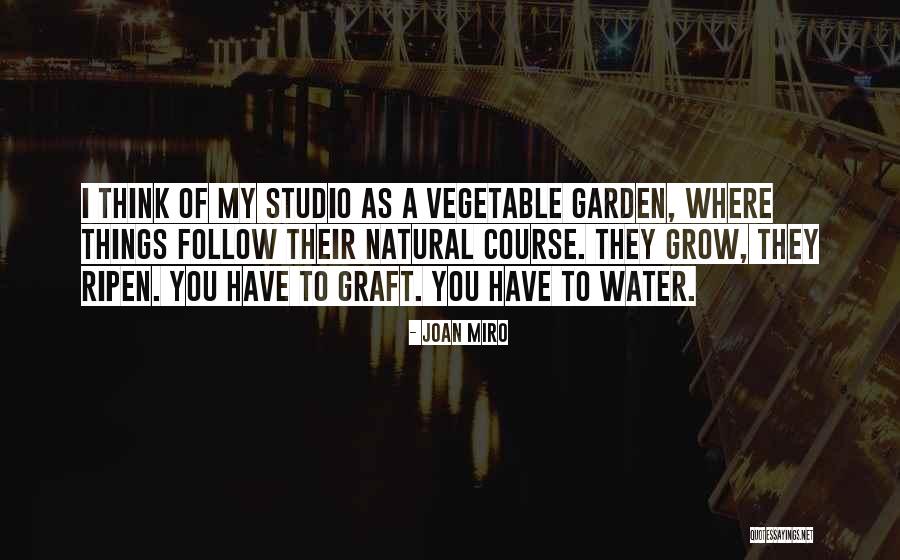 Joan Miro Quotes 670265