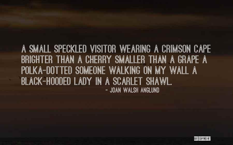 Joan Walsh Anglund Quotes 1897047 Joan Walsh Anglund Quotes 1897047