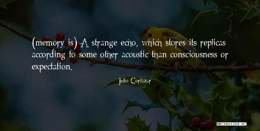 Joani Harbaugh Quotes By Julio Cortazar Joani Harbaugh Quotes By Julio Cortazar