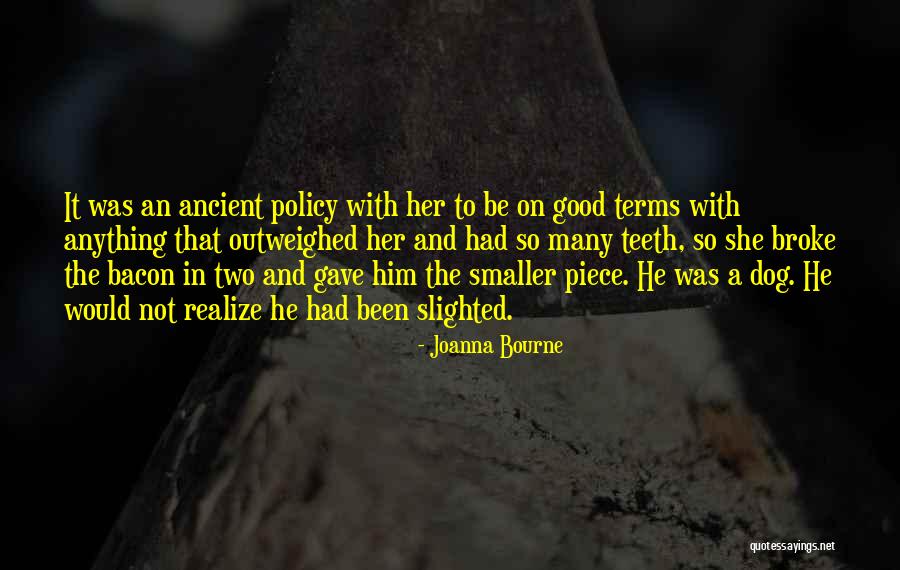 Joanna Bourne Quotes 2149094