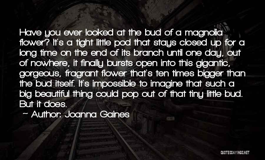 Joanna Gaines Quotes 313570