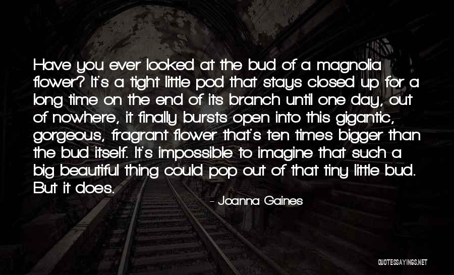 Joanna Gaines Quotes 313570