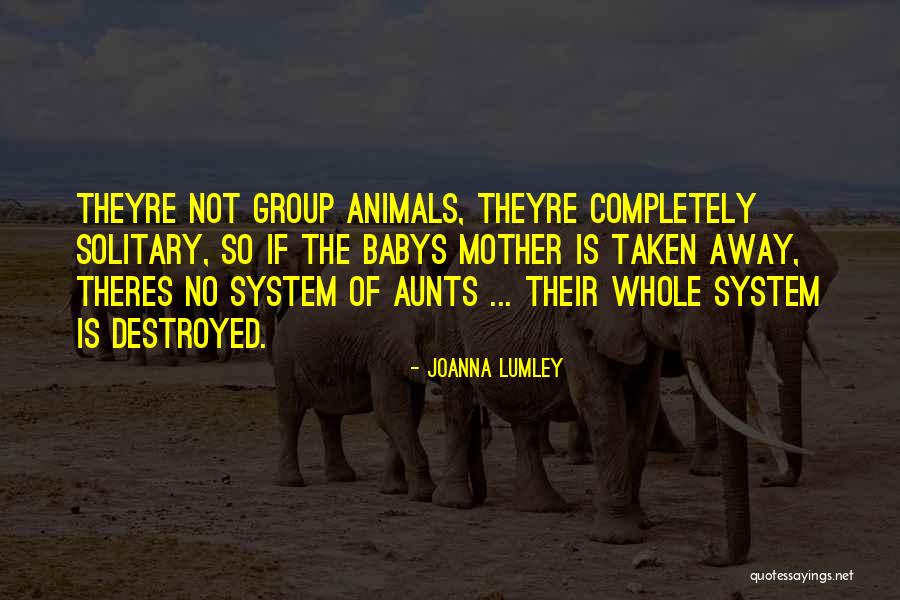 Joanna Lumley Quotes 1021267 Joanna Lumley Quotes 1021267
