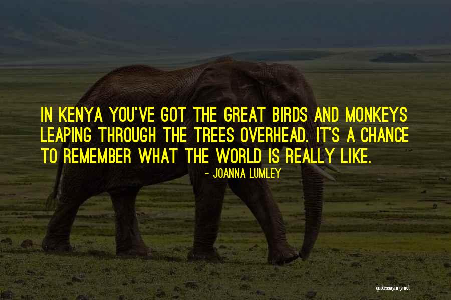 Joanna Lumley Quotes 2060791 Joanna Lumley Quotes 2060791
