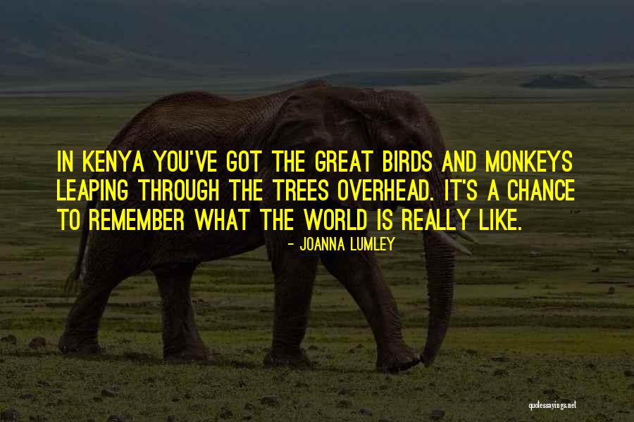 Joanna Lumley Quotes 2060791