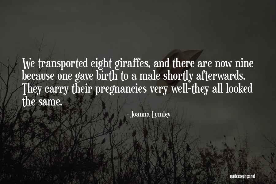 Joanna Lumley Quotes 955568