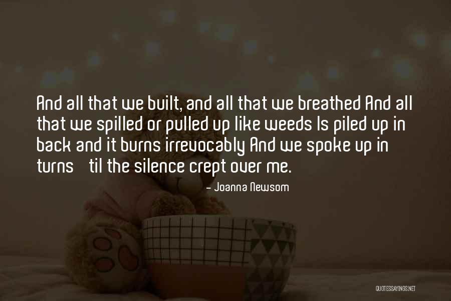 Joanna Newsom Quotes 1182293