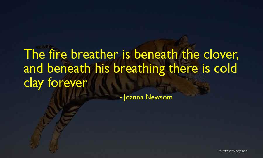 Joanna Newsom Quotes 131670