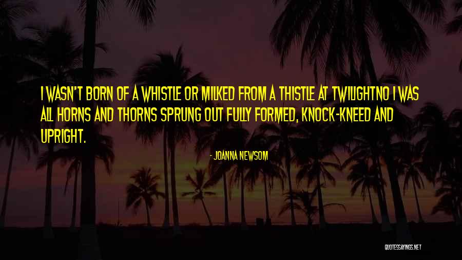 Joanna Newsom Quotes 761758