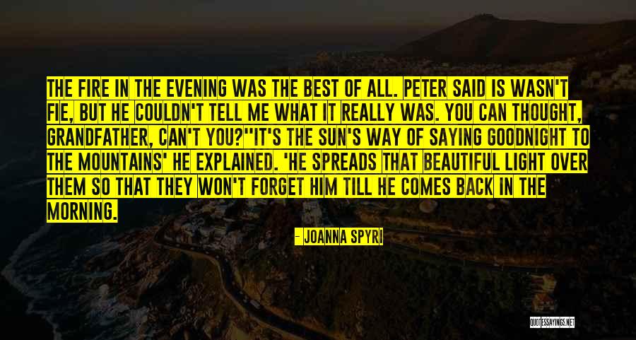 Joanna Spyri Quotes 191505