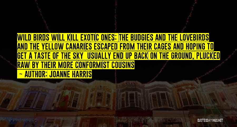 Joanne Harris Quotes 1825622