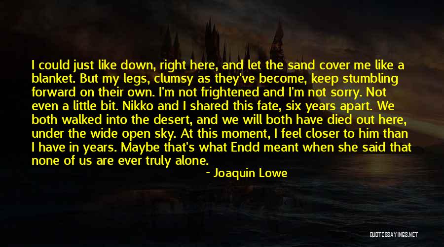 Joaquin Lowe Quotes 564922