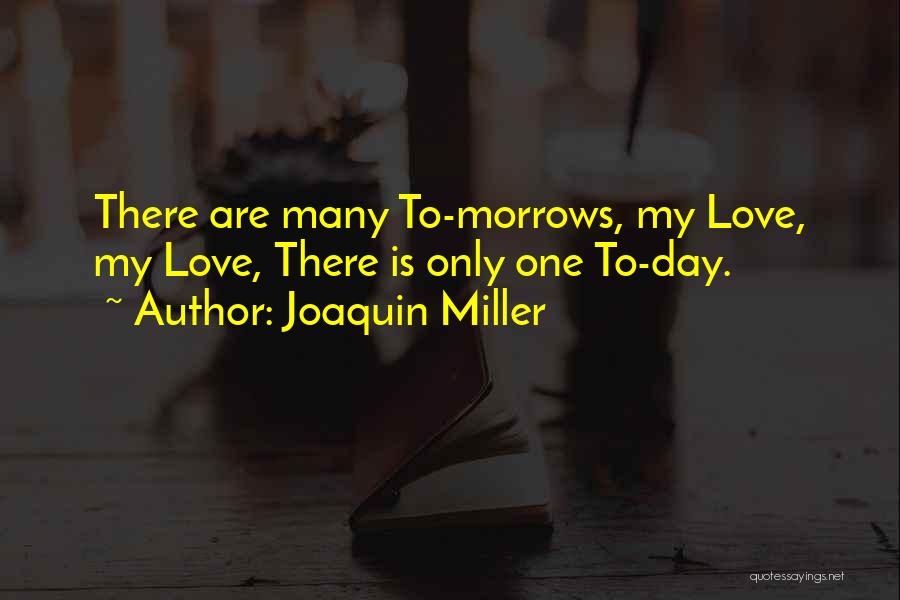 Joaquin Miller Quotes 1257841