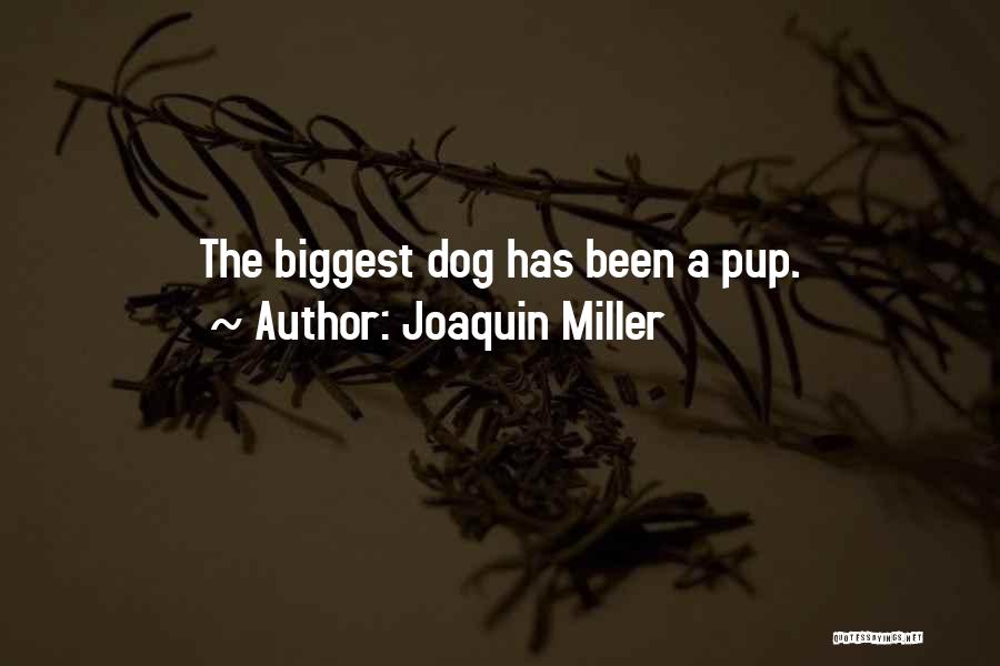 Joaquin Miller Quotes 1921156