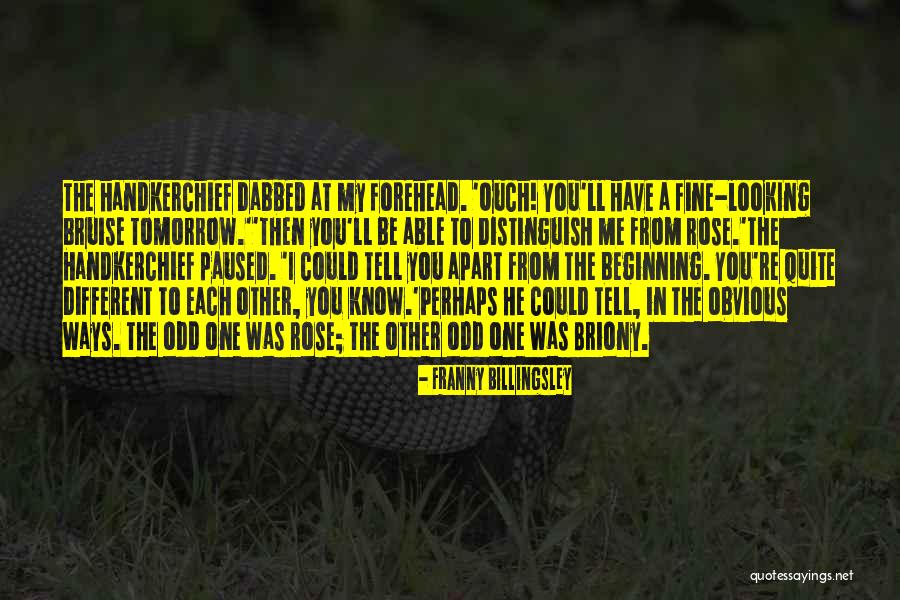 Joasia Zakrzewski Quotes By Franny Billingsley Joasia Zakrzewski Quotes By Franny Billingsley