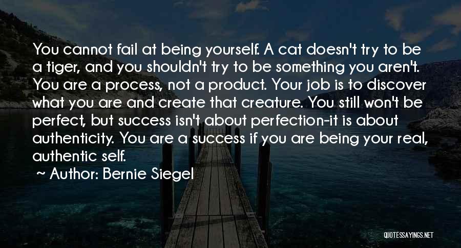 Job And Success Quotes By Bernie Siegel
