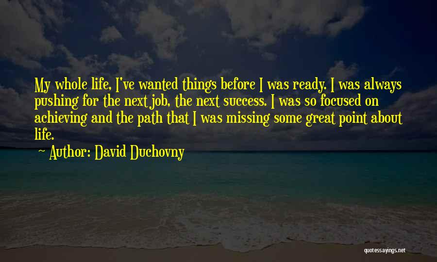Job And Success Quotes By David Duchovny