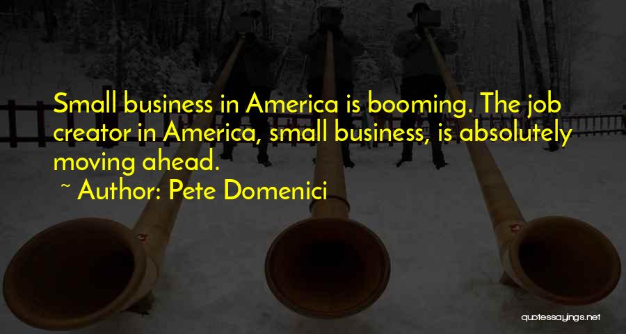 Job Creator Quotes By Pete Domenici