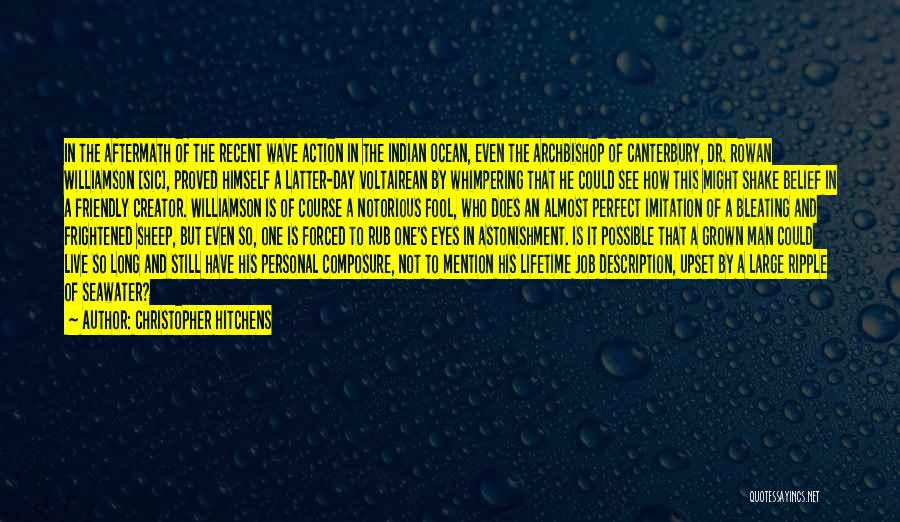 Job Description Quotes By Christopher Hitchens