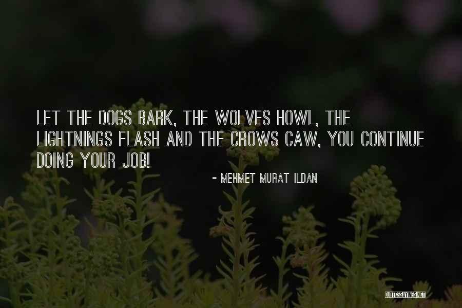 Job Doing Quotes By Mehmet Murat Ildan Job Doing Quotes By Mehmet Murat Ildan