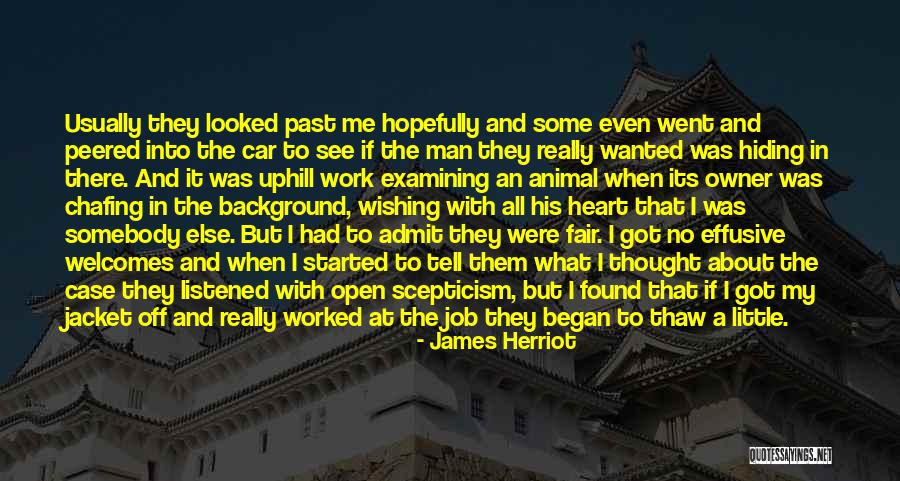 Job Fair Quotes By James Herriot Job Fair Quotes By James Herriot