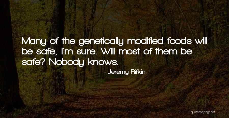 Job Hazards Quotes By Jeremy Rifkin Job Hazards Quotes By Jeremy Rifkin